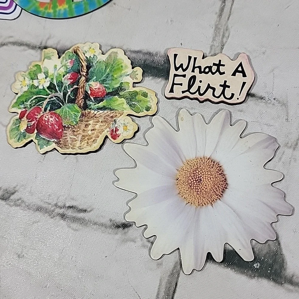 Fridge‎ Magnets Lot Of 12 Flat PVC Assorted Frames Jokes Animals Peace Signs